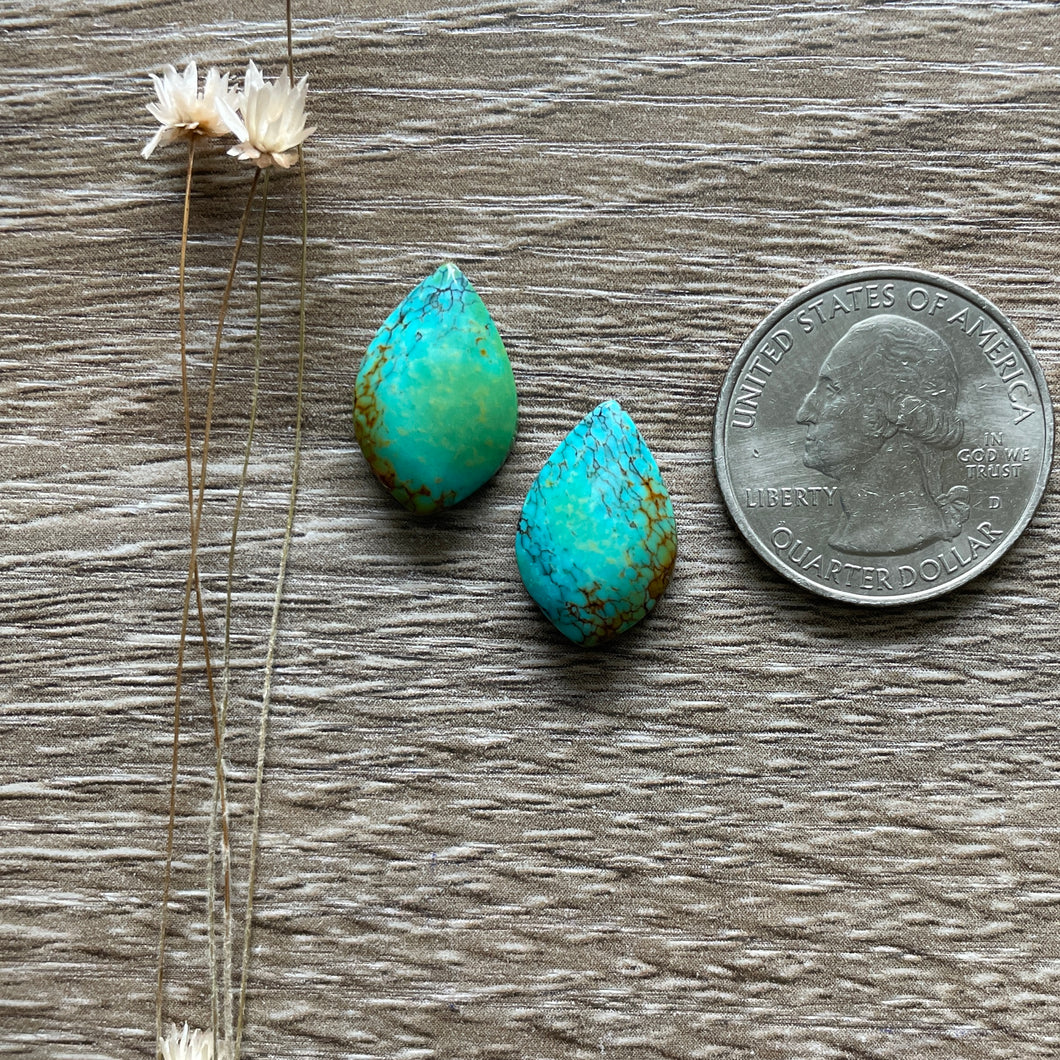 Polychrome Hubei Turquoise ~ Pair