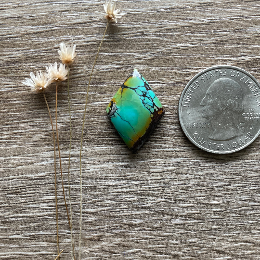 Polychrome Hubei Turquoise