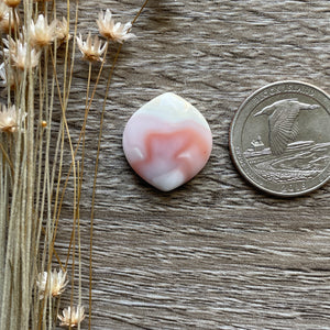 Windy Mountain Jasper