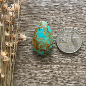 Rising Phoenix Turquoise