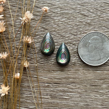 Load image into Gallery viewer, Abalone Shell (Pair)
