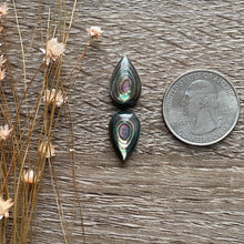 Load image into Gallery viewer, Abalone Shell (Pair)

