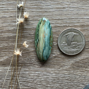 Gary Green Jasper