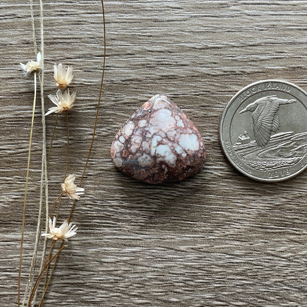 Wildhorse Stone