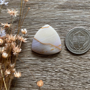 Oregon Sunset Jasper