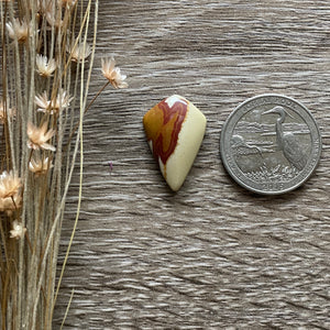 Red Owyhee Jasper