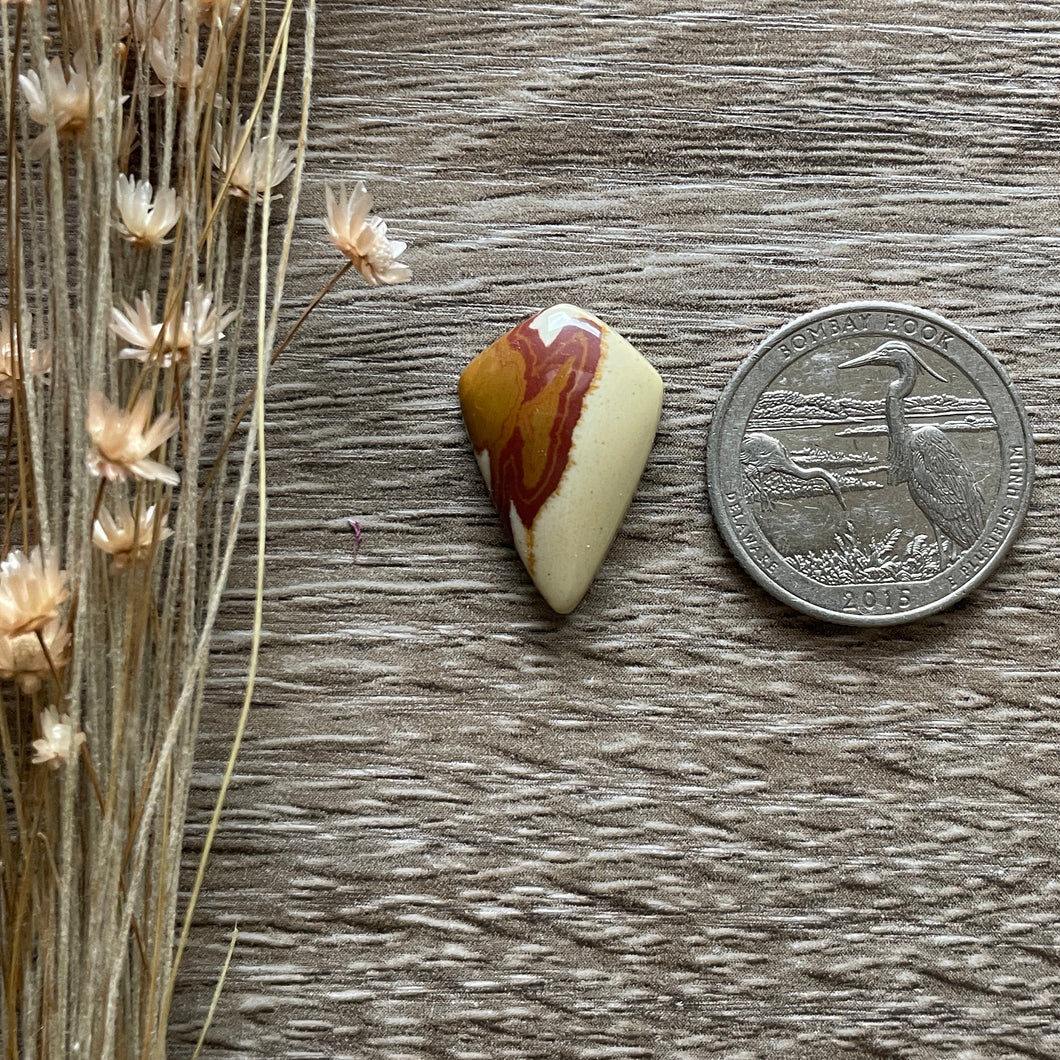 Red Owyhee Jasper