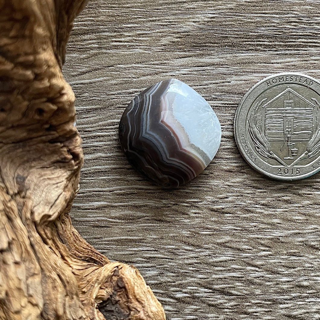 Black Lace Agate