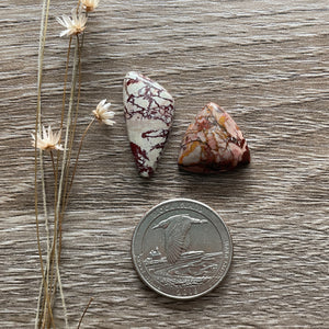 Dead Camel Jasper (Set)