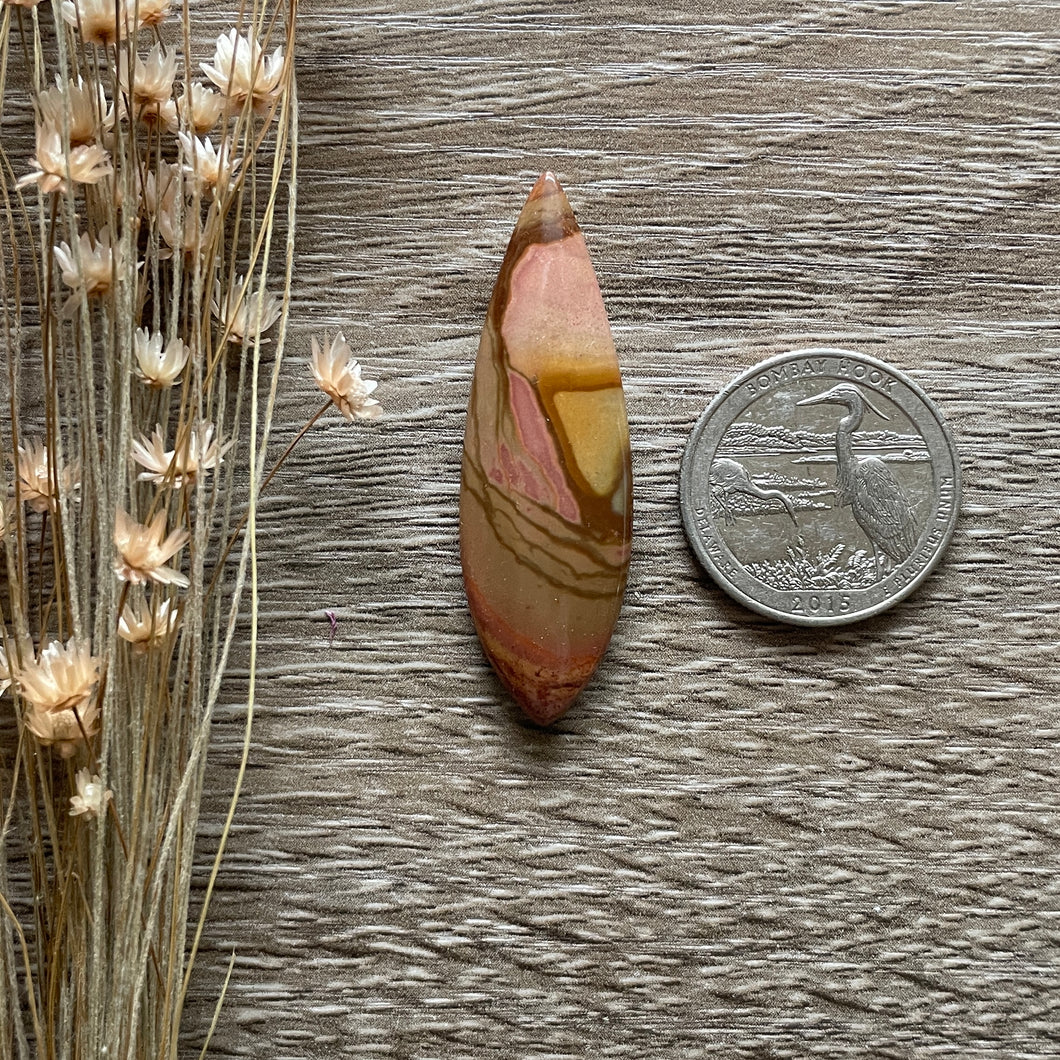 Polychrome Jasper