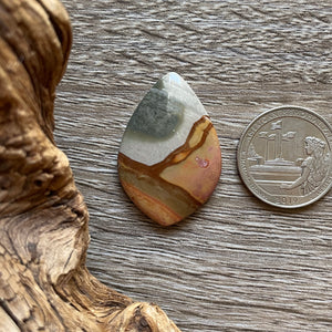 Scenic Polychrome Jasper