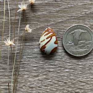 Red Owyhee Jasper