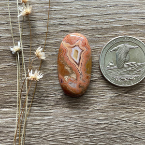 RARE Teepee Canyon Agate