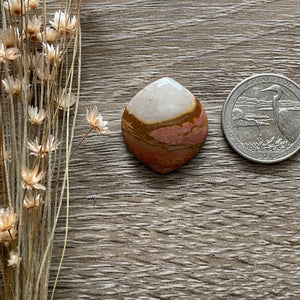 Polychrome Jasper