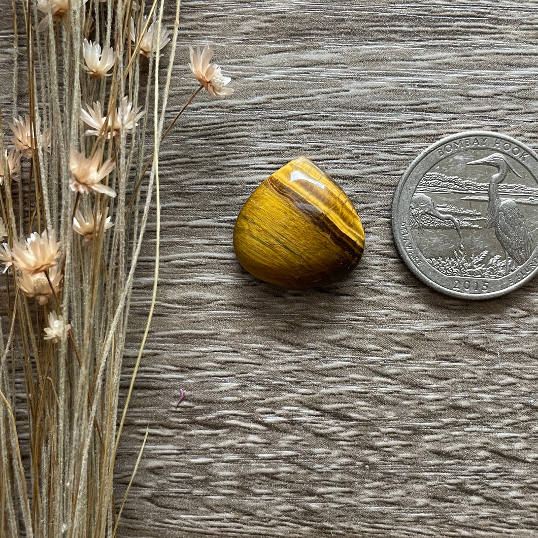 Tigers Eye