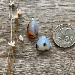 Montana Agate Set