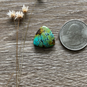 Polychrome Hubei Turquoise