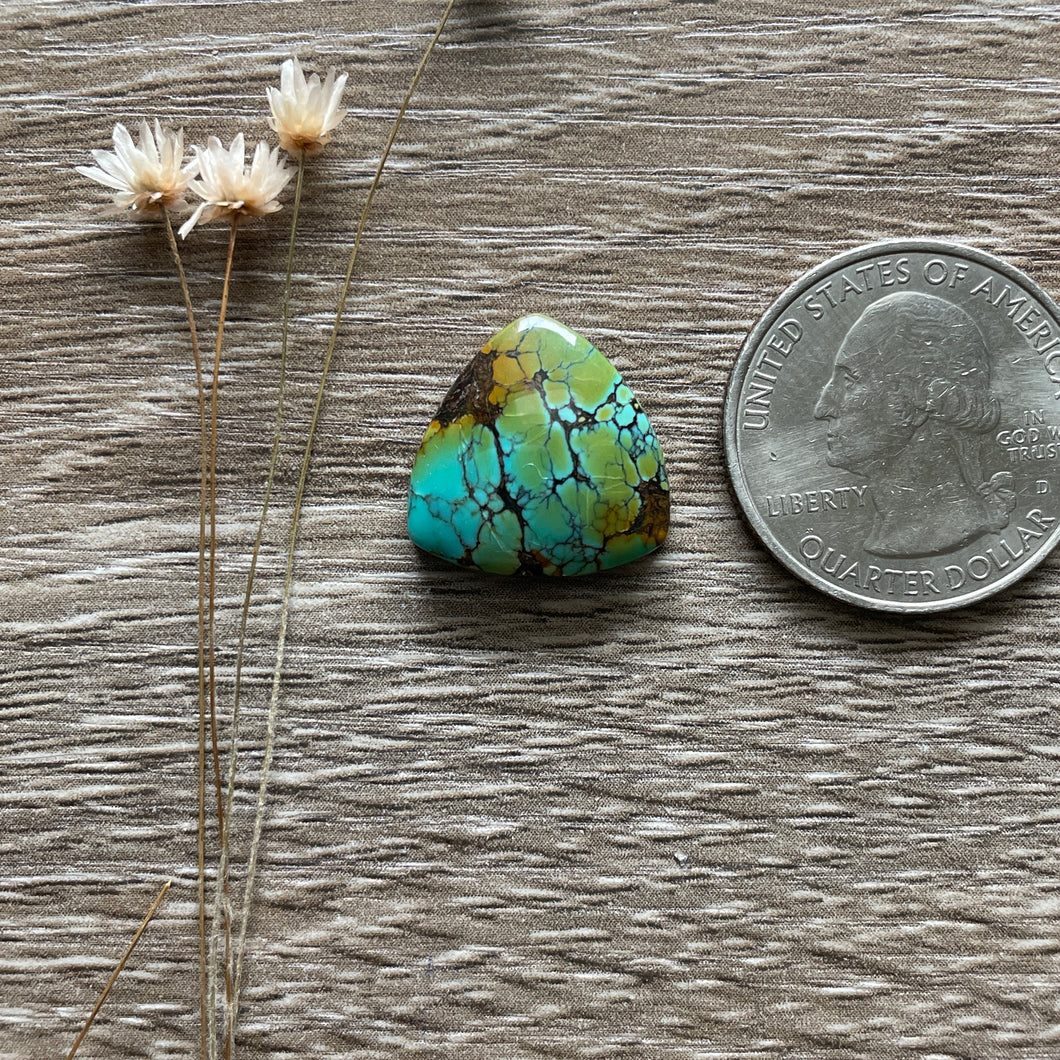 Polychrome Hubei Turquoise