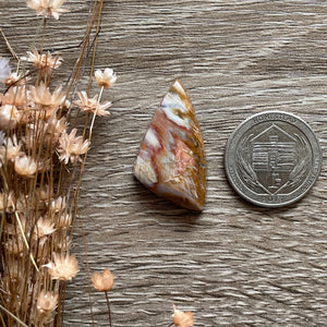 Petrified Wood (Idaho)