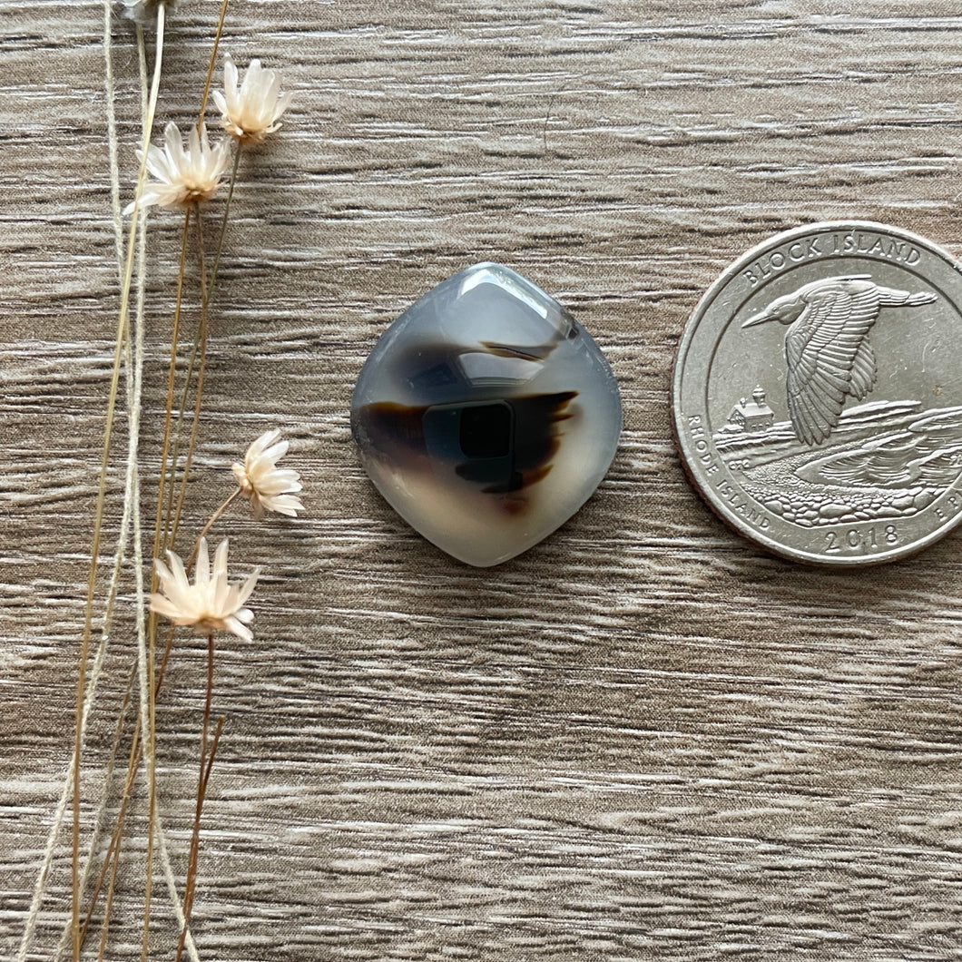 Montana Agate