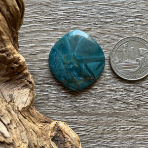 Rare Skaggs Jasper