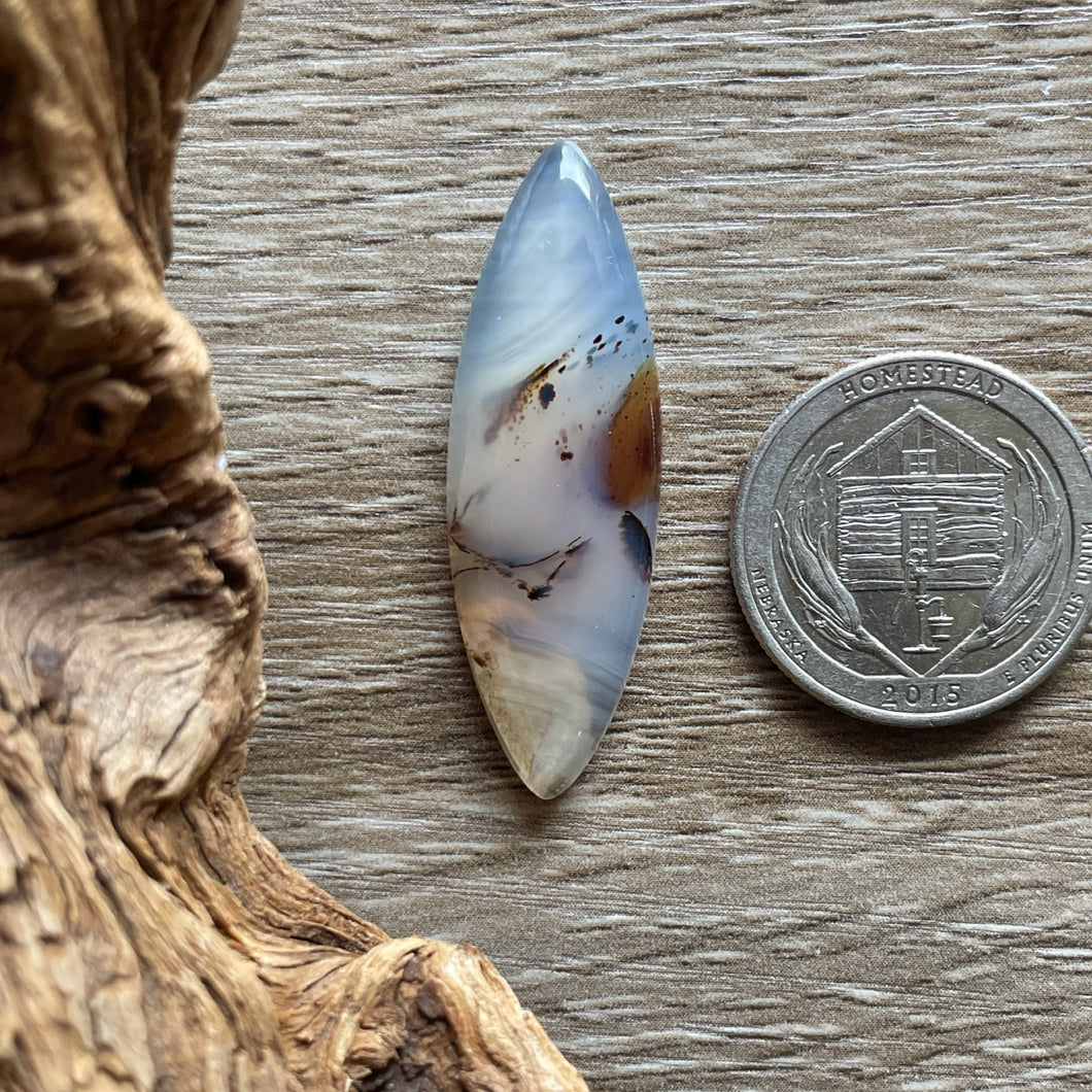 Montana Agate