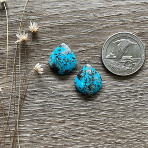 Turquoise + Pyrite Pair