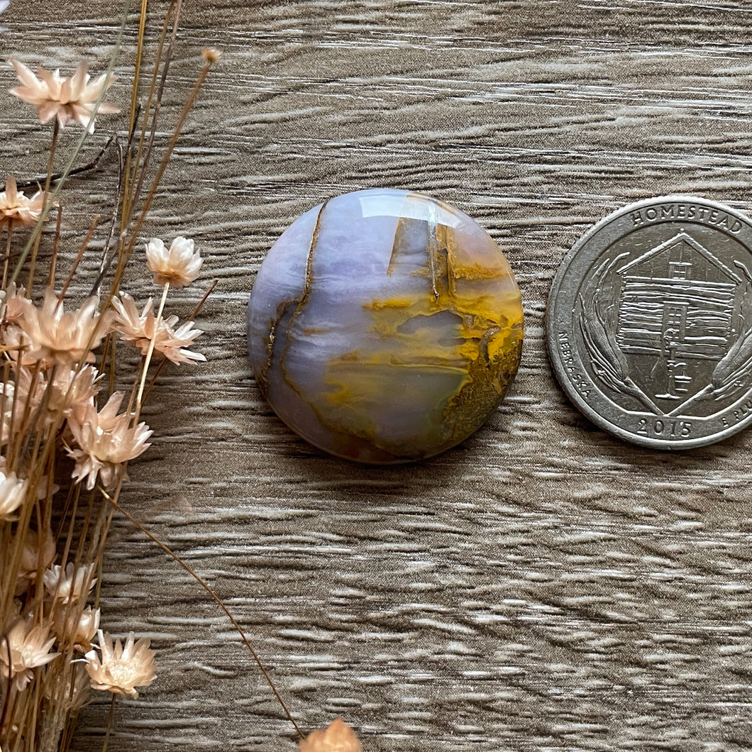 Oregon Sunset Jasper