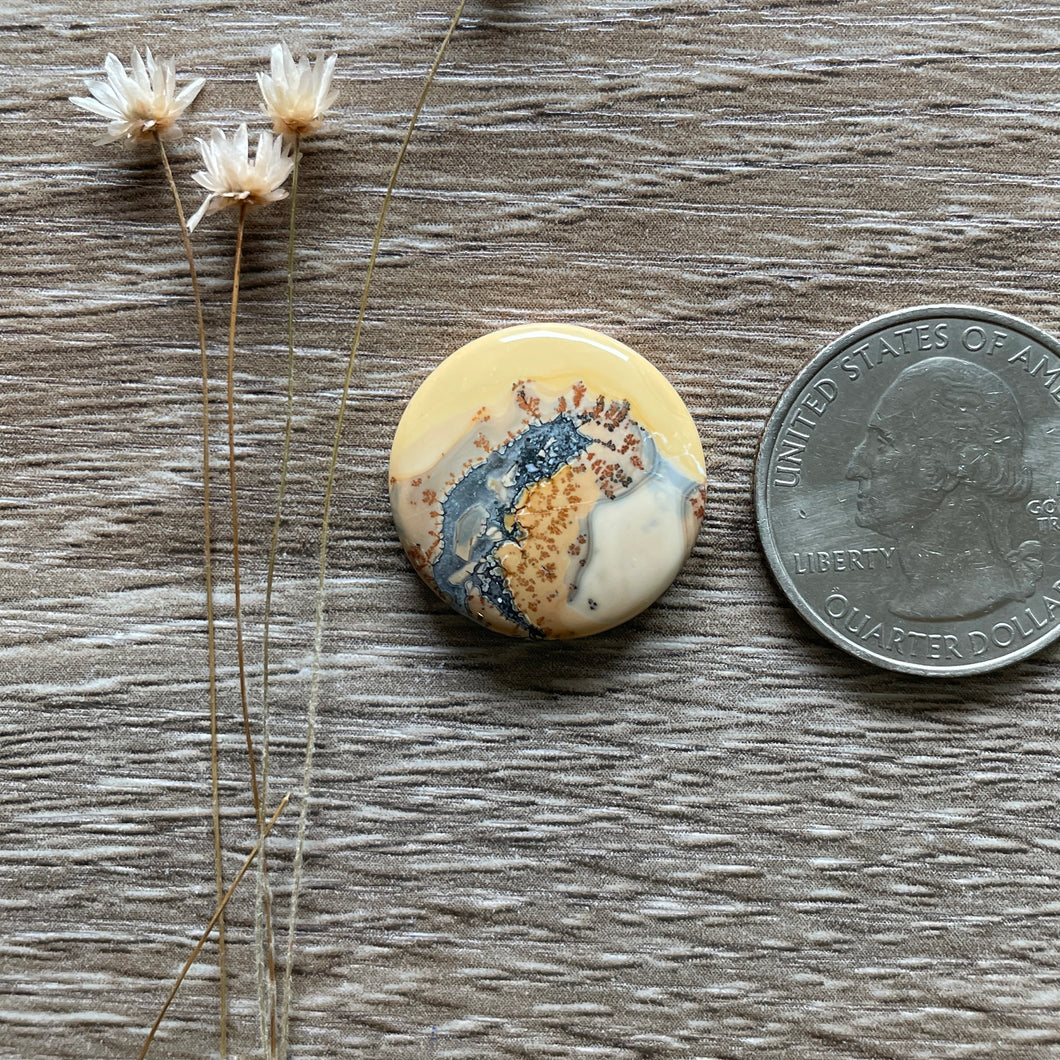 Maligano Jasper