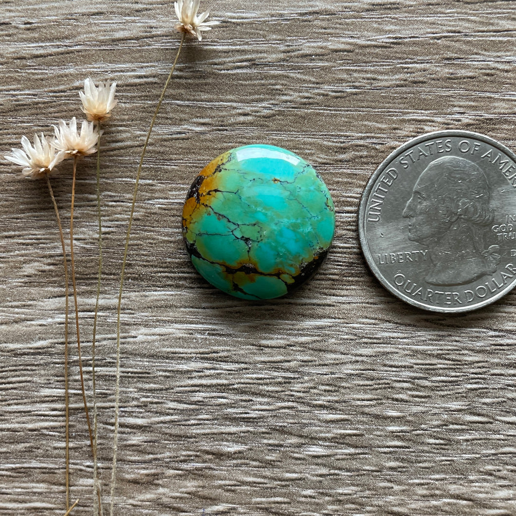 Polychrome Hubei Turquoise