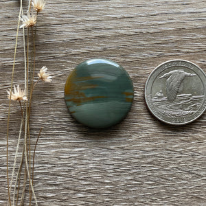 Owyhee Jasper