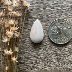 Windy Mountain Jasper