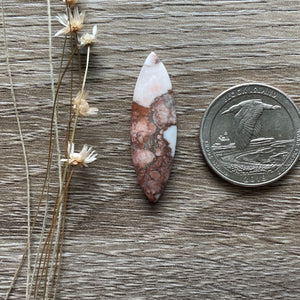 Wildhorse Stone