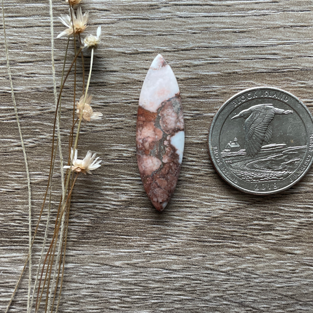 Wildhorse Stone