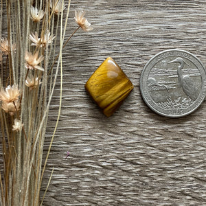 Tigers Eye