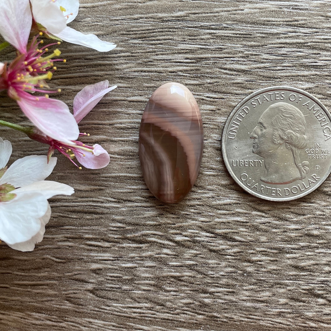 Imperial Jasper