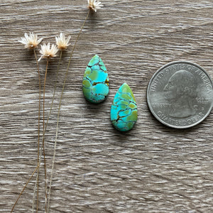 Polychrome Hubei Turquoise ~ Pair