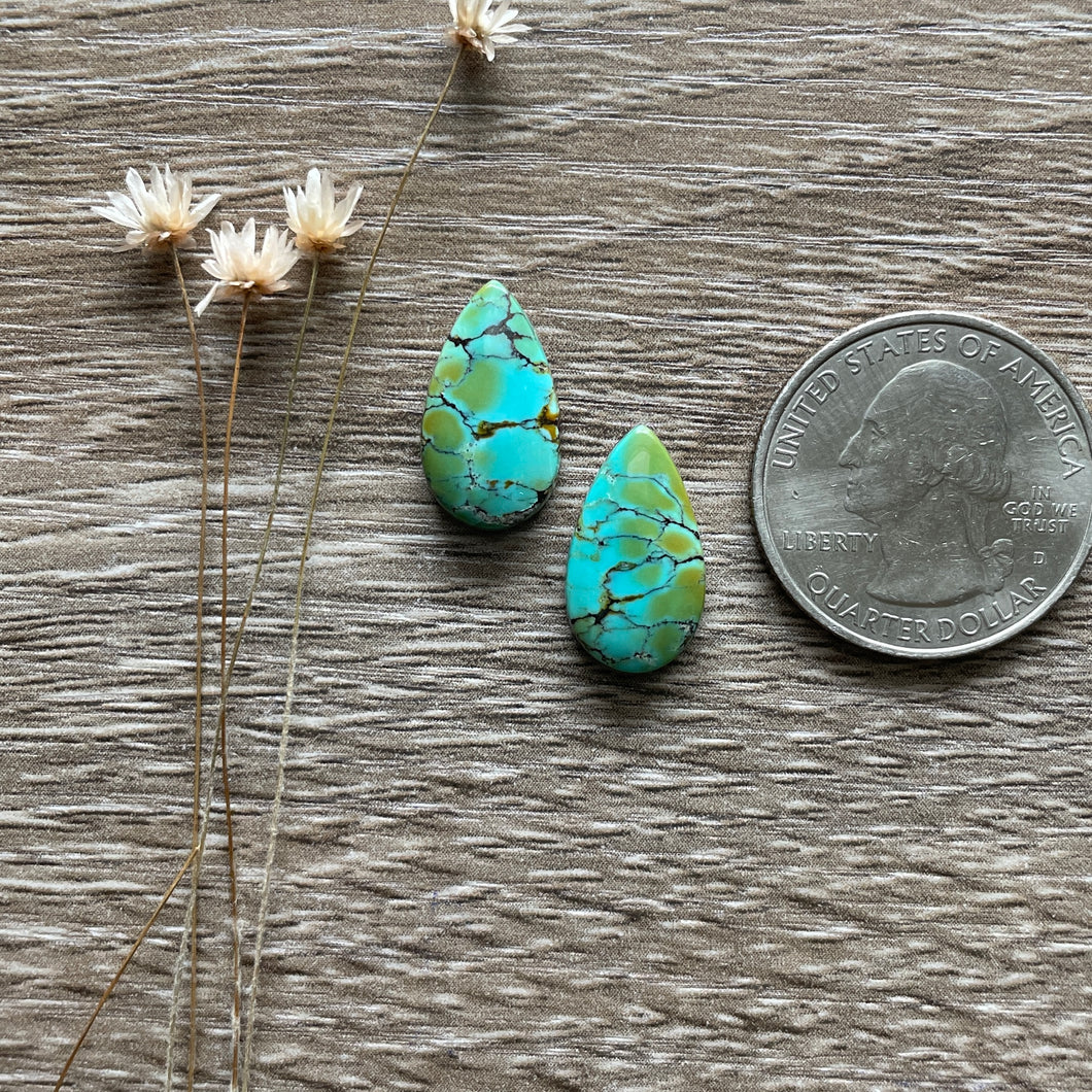 Polychrome Hubei Turquoise ~ Pair