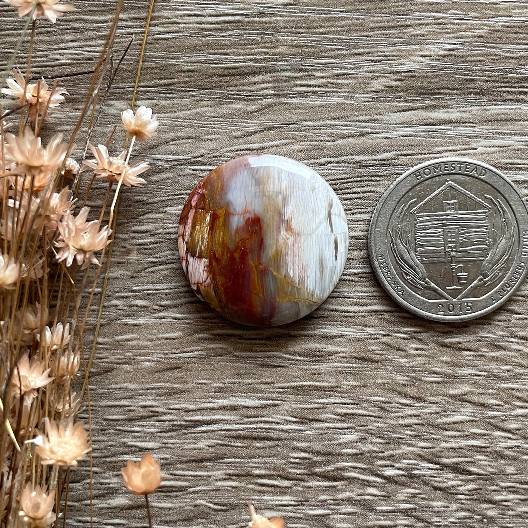 Petrified Wood (Idaho)