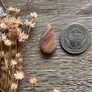 Petrified Wood (Idaho)