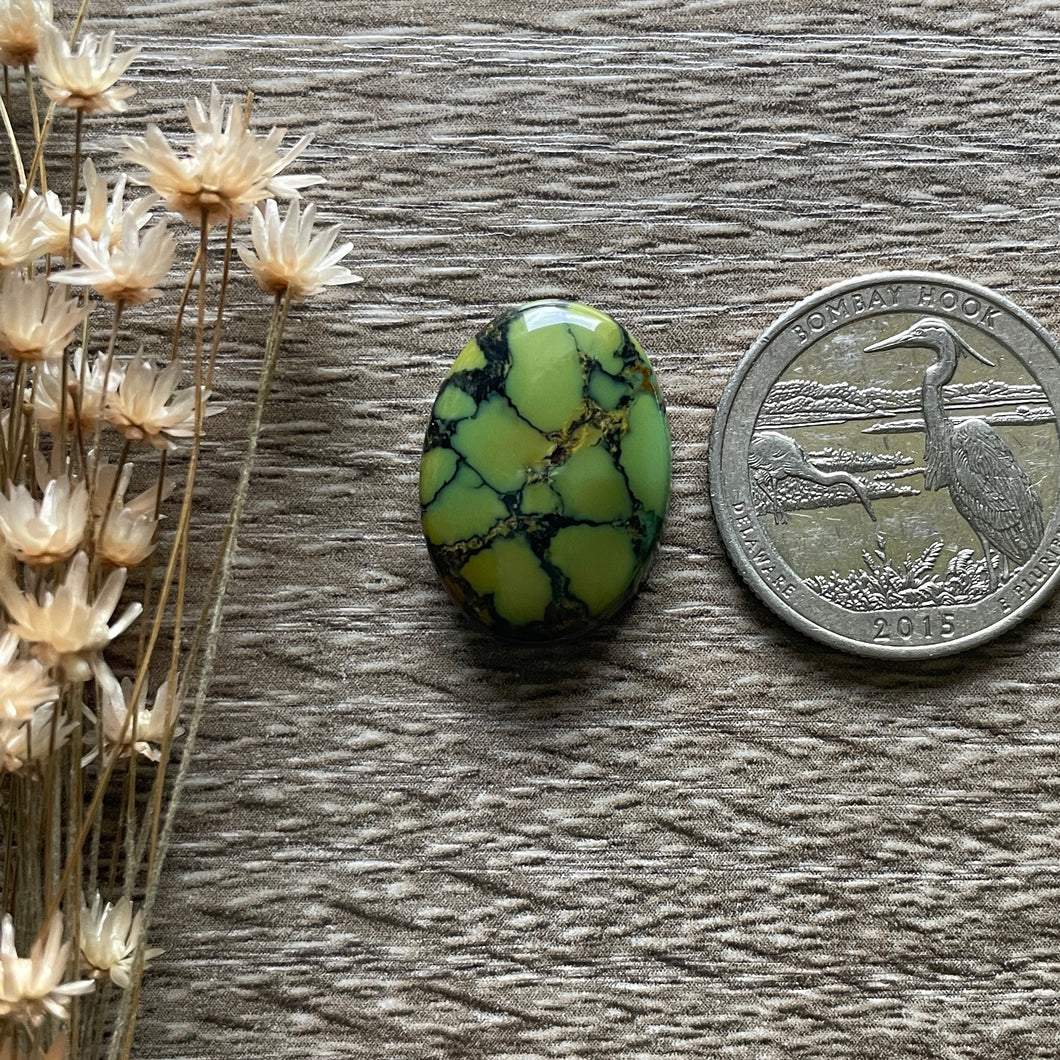 Green Qingu Turquoise